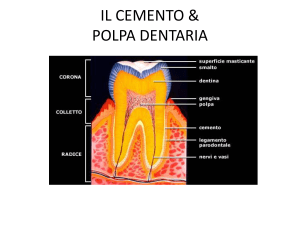 IL CEMENTO