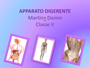 Diapositiva 1 - Share Dschola