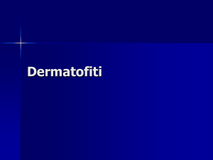 17 Dermatofiti studenti File - e