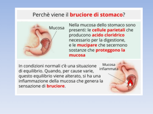 Farmaci antiulcera File