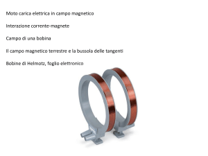 Diapositiva 1 - Docenti.unina