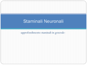 Diapositiva 1 - Scienza Attiva