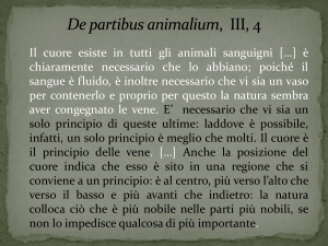 3b - I blog di Unica