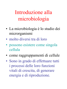 Lezione 1 File - e