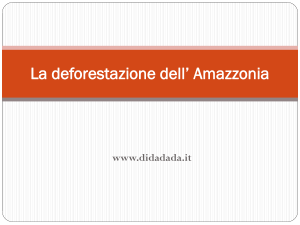 La deforestazione dell´Amazzonia - presentazione in ppt