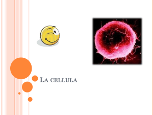 La cellula - Share Dschola