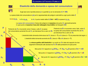 Elasticita` e spesa del consumatore