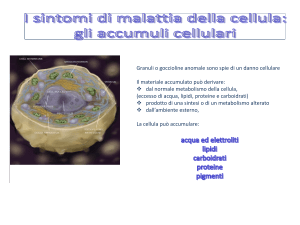 lezione 2 File - e