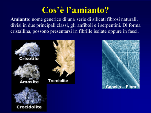 Amianto File