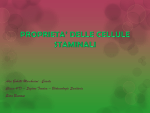 proprieta* delle cellule staminali