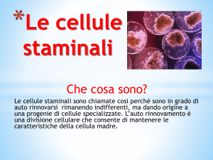 Le cellule staminali