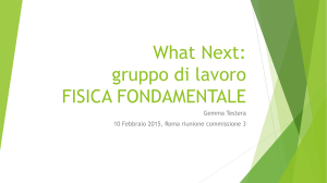 What Next: gruppo di lavoro FISICA FONDAMENTALE