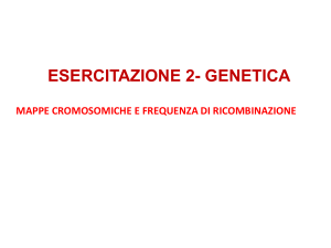 Presentazione di PowerPoint