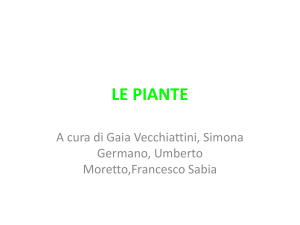 le piante - Share Dschola