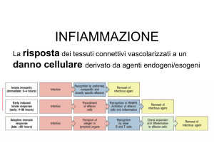 mediatori
