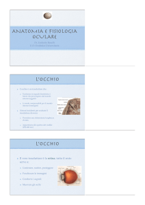ANATOMIA E FISIOLOGIA OCULARE L`occhio L`occhio