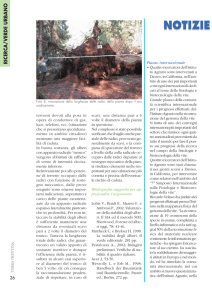 Senza titolo-1