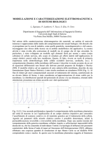L`elettroporazione di cellule è considerato come un efficiente