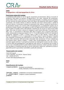 Risultati della Ricerca Propagazione e micropropagazione in
