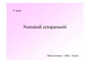 nematodi predatori - Sustainable Fumigation