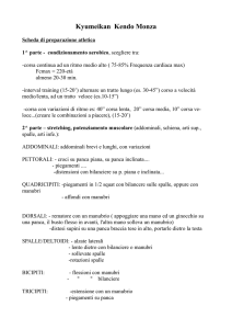 scheda di allenamento per agonisti