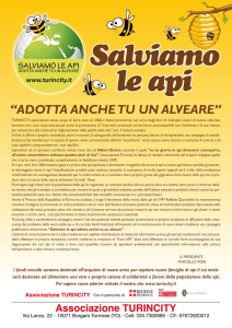 Locandina - Comune di Torrebelvicino