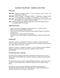 Curriculum vitae