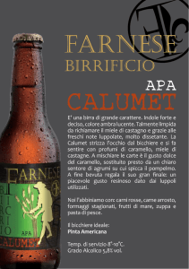E` una birra di grande carattere. Indole forte e deciso, colore ambra