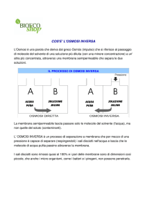 COS`E` L`OSMOSI INVERSA