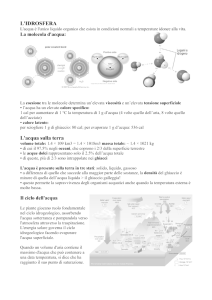 L`IDROSFERA L`acqua sulla terra