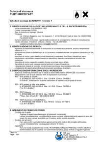 Scheda di sicurezza PURTHINNER FAST