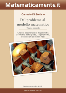 Matematicamente.it Dal Problema al Modello