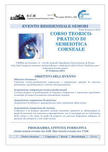 Obiettivi, programma, curricula docenti