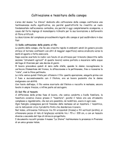 Coltivazione e tessitura della canapa
