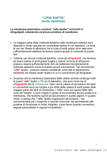 zolle lipidiche