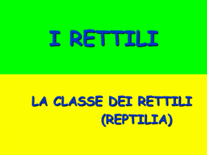 i rettili - Soglian Amaldi