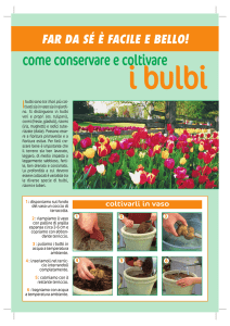 come conservare e coltivare