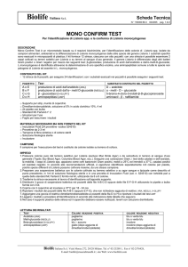 MONO CONFIRM TEST