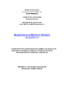 Relazione illustrativa