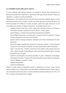 La sensibilità al gelo delle specie arboree