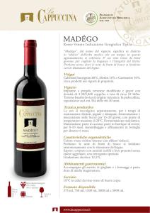 SCHEDE TECNICHE VINI ROSSI.indd