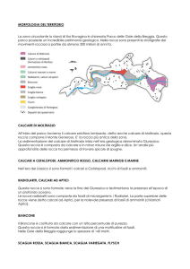 MORFOLOGIA DEL TERRITORIO La zona circostante lo stand di tiro