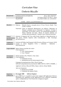 Curriculum Vitae Umberto Mazzillo