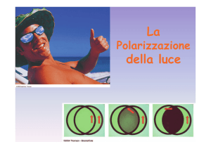 polarizzazione