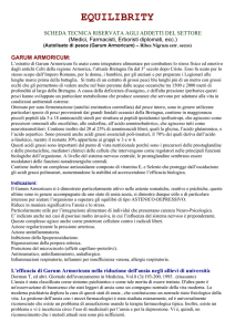 equilibrity - Il Punto Sano