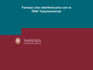 DNA girasi - e