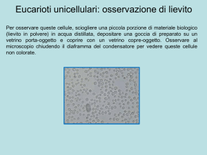 Esercitazione di laboratoio - e-learning
