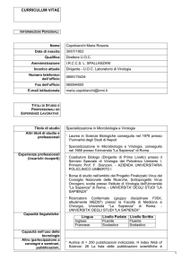 curriculum vitae
