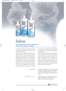 scheda saline