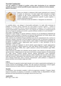 Test del Camioncino